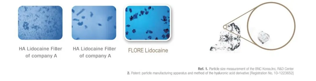 PP-Process -Flore